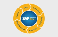 SAP Business One – Con đường ngắn nhất để số hóa doanh nghiệp của bạn
